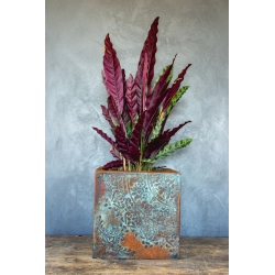 Donica loft z ornamentem 30×30×30 cm – Ferro Ornata Blue LS | Art Con Design