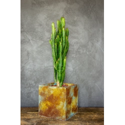 Kwadratowa doniczka loft 20×20×21 cm – Ferro Puro S | Art Con Design