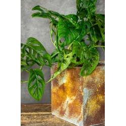 Kwadratowa doniczka loft 20×20×21 cm – Ferro Puro S | Art Con Design