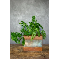 Osłonka na doniczkę loft 25 x 25 x 21 cm – kwadratowa, ręcznie malowana, efekt kortenu z turkusowymi pasami