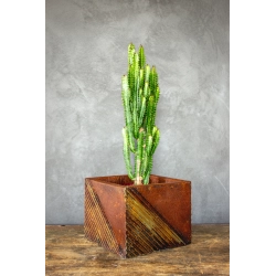 Osłonka na doniczkę z geometrycznym wzorem 25 × 25 × 21 cm – rustykalna, ręcznie malowana, efekt kortenu