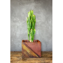 Osłonka na doniczkę z geometrycznym wzorem 25 × 25 × 21 cm – rustykalna, ręcznie malowana, efekt kortenu