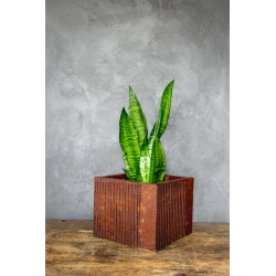 Osłonka na doniczkę z pionowymi rowkami 25 × 25 × 21 cm – rustykalna, efekt kortenu, ręcznie wykonana