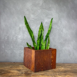 Osłonka na doniczkę z pionowymi rowkami w kolorze kortenu, rustykalna i ręcznie wykonana.