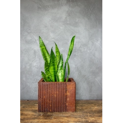 Osłonka na doniczkę z pionowymi rowkami 25 × 25 × 21 cm – rustykalna, efekt kortenu, ręcznie wykonana