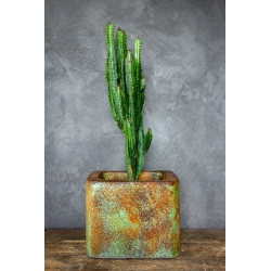 Donica loft z efektem rdzy 25×25×21 cm – Ferro Verdi M | Art Con Design