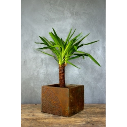 Osłonka na doniczkę z florystycznym motywem 25 × 25 × 21 cm  – efekt kortenu z patyną, ręcznie malowana