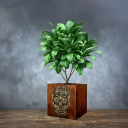 Kwadratowa rdzawobrązowa osłonka z efektem kortenu, z dekoracyjnym motywem czaszki Sugar Skull na froncie.