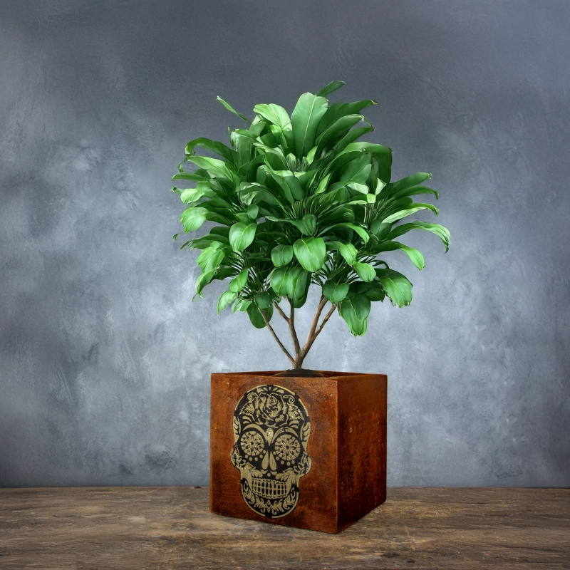 Kwadratowa rdzawobrązowa osłonka z efektem kortenu, z dekoracyjnym motywem czaszki Sugar Skull na froncie.