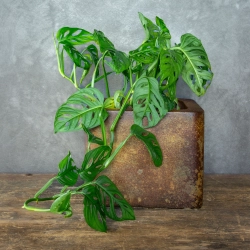 Kwadratowa osłonka na doniczkę z efektem kortenu i zielonkawą patyną, w stylu industrialnym, ręcznie wykonana.