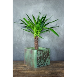 Donica loft z abstrakcyjną twarzą 25×25×21 cm – Ferro Volto M | Art Con Design