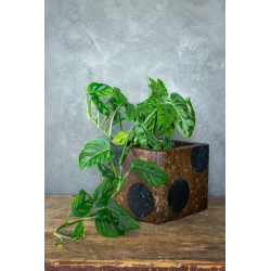 Osłonka na doniczkę z motywem planet 25 × 25 × 21 cm – industrialny efekt kortenu, ręcznie wykonana dekoracja