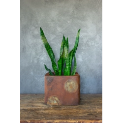 Osłonka na doniczkę z motywem planet 25 × 25 × 21 cm – rustykalna dekoracja inspirowana kosmosem