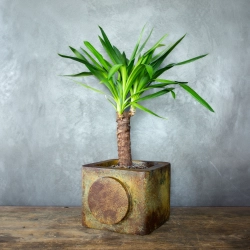 Rustykalna osłonka na doniczkę z okrągłym motywem po bokach, ręcznie wykonana, w efekcie kortenu z naturalną patyną.