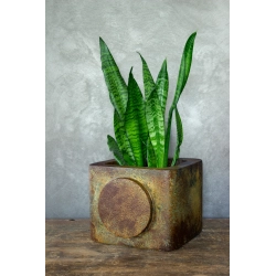 Osłonka na doniczkę z okrągłym motywem 25 × 25 × 21 cm – rustykalna, ręcznie malowana, efekt kortenu