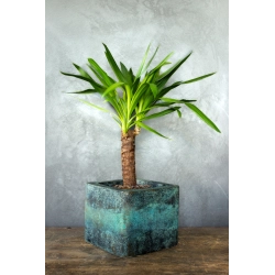 Turkusowa doniczka loft 25×25×21 cm – Ferro Marina M | Art Con Design