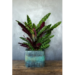 Osłonka na doniczkę turkusowa 25 × 25 × 21 cm – efekt kortenu, ręcznie malowana