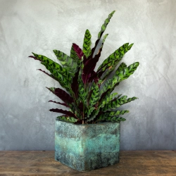 Turkusowa osłonka na doniczkę w efekcie kortenu, ręcznie wykonana z charakterystyczną patyną.