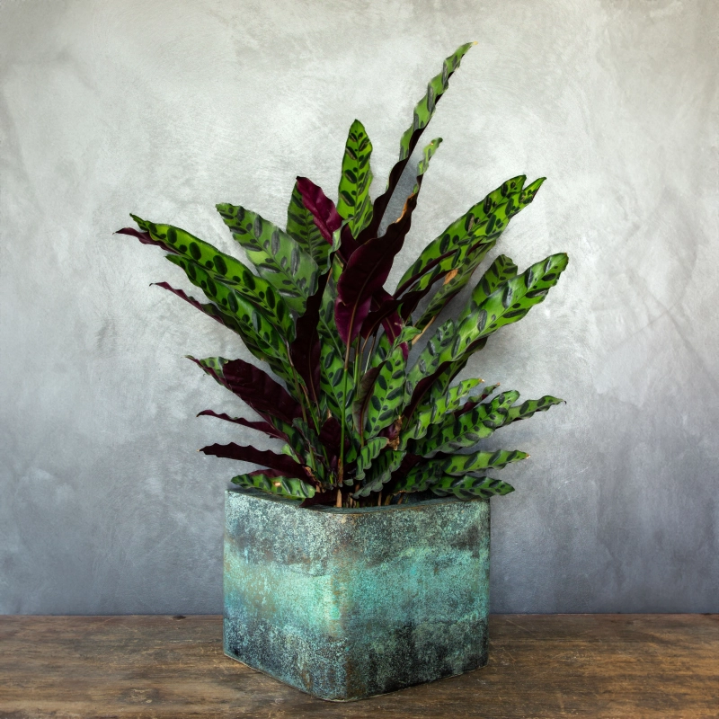 Turkusowa osłonka na doniczkę w efekcie kortenu, ręcznie wykonana z charakterystyczną patyną.