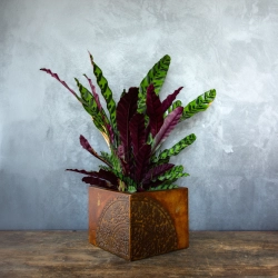 Rustykalna osłonka na doniczkę z ornamentowym motywem, wykonana ręcznie, wykończona w efekcie kortenu.