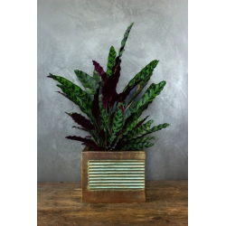 Osłonka na doniczkę z liniowym wzorem 3D 25 × 25 × 21 cm – rustykalna, ręcznie malowana, efekt kortenu