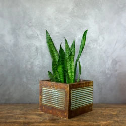 Rustykalna osłonka na doniczkę z liniowym wzorem 3D, ręcznie malowana, w kolorze efektu kortenu z turkusową patyną.