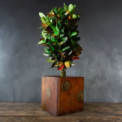 Kwadratowa osłonka z efektem rdzy i patynowanymi okręgami przypominającymi planety.