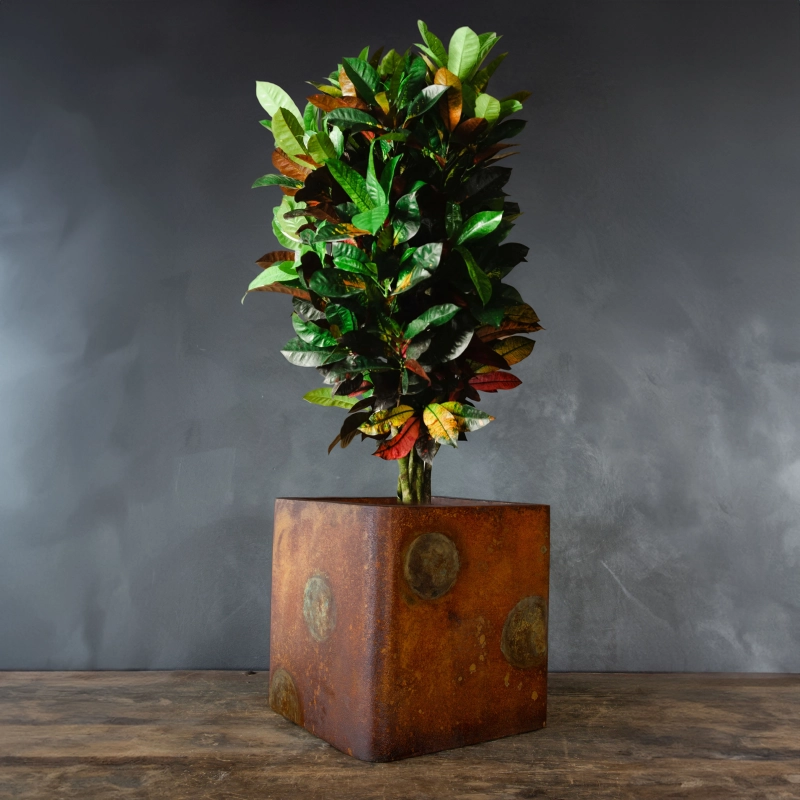 Kwadratowa osłonka z efektem rdzy i patynowanymi okręgami przypominającymi planety.