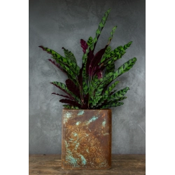 Rustykalna donica loft 25×25×30 cm – Ferro Marina LHR | Art Con Design