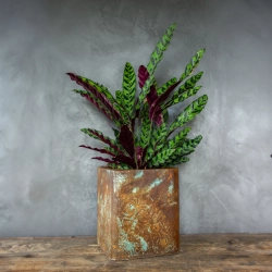 Rustykalna osłonka na doniczkę z ornamentem 3D, efekt kortenu z turkusową patyną, ręcznie wykonana.