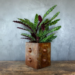 Luksusowa osłonka z wypukłymi formami 3D – efekt kortenu, ręcznie patynowana, 25×25×30 cm