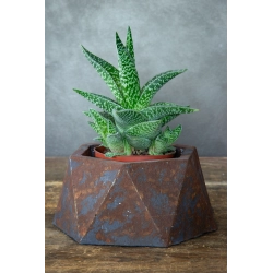 Betonowa osłonka geometryczna 12 cm – efekt kortenu, ręcznie wykonana, design premium