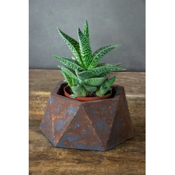 Betonowa osłonka geometryczna 12 cm – efekt kortenu, ręcznie wykonana, design premium