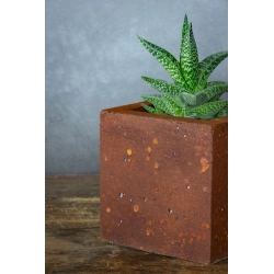 Betonowa osłonka na doniczkę 15×15×15 cm Dodo – industrialna, efekt rdzy