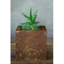 Betonowa donica 15×15×15 cm – efekt rdzy i turkusowej patyny
