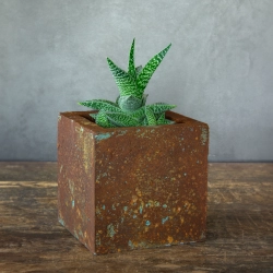 Kwadratowa osłonka z betonu portlandzkiego z intensywnym efektem rdzy i turkusowej patyny.