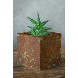 Betonowa donica 15×15×15 cm – efekt rdzy i turkusowej patyny