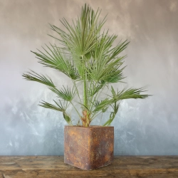 Kwadratowa osłonka na doniczkę w efekcie rdzy kortenowej, ręcznie wykonana, o surowej i rustykalnej fakturze.