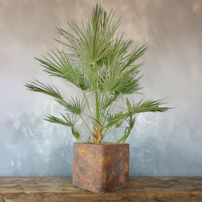 Kwadratowa osłonka na doniczkę w efekcie rdzy kortenowej, ręcznie wykonana, o surowej i rustykalnej fakturze.