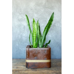 Donica z efektem kortenu 25 × 25 × 21 cm – artystyczna, ręcznie malowana, premium