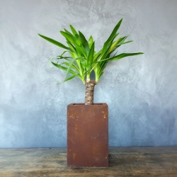 Donica w industrialnym stylu z rdzawym wykończeniem, efekt corten, ręcznie wykonana, ozdobna.