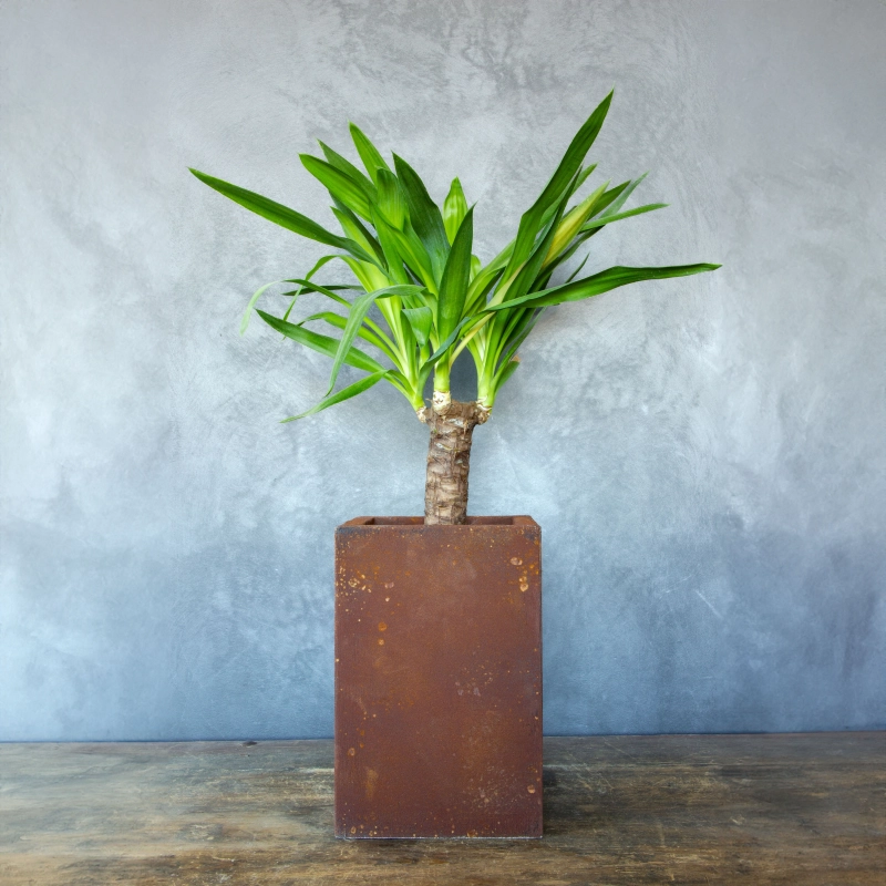 Donica w industrialnym stylu z rdzawym wykończeniem, efekt corten, ręcznie wykonana, ozdobna.