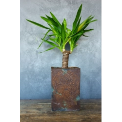 Donica z czaszką 3D 21 x 21 x 30 cm – industrialna, ręcznie wykonana, efekt cortenu