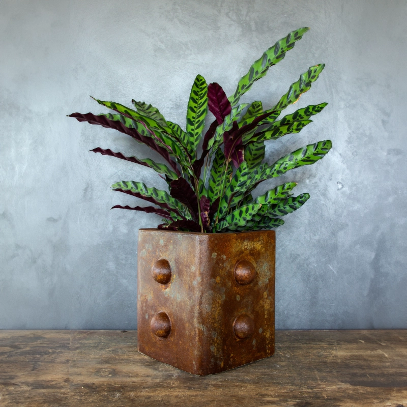 Luksusowa osłonka z wypukłymi formami 3D – efekt kortenu, ręcznie patynowana, 25×25×30 cm