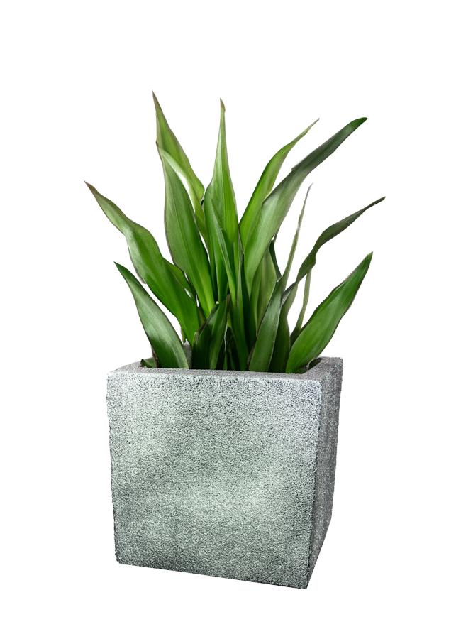 Nowoczesna donica Modern - Silver 1 – elegancki dodatek do salonu i tarasu.