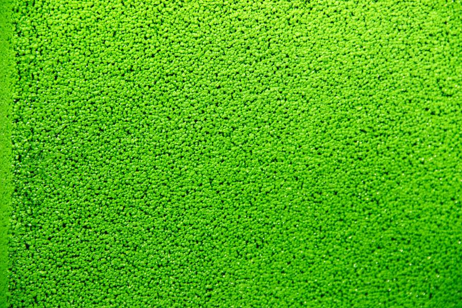 Zielona donica o wysokiej formie z bliska – model Modern – Green 4