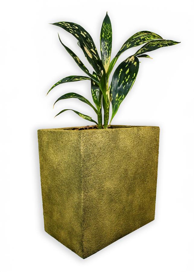 Złota donica wysoka Modern – Gold 5 z rośliną