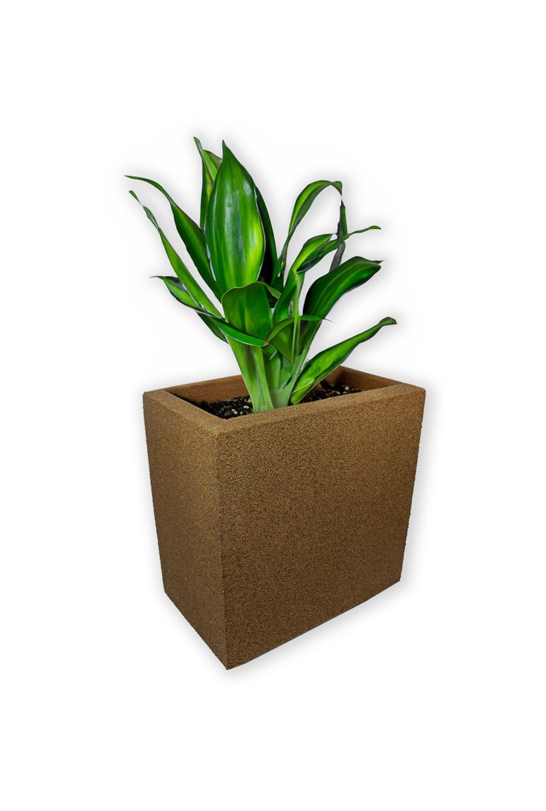 Brązowa donica wysoka Modern – Brown 5 z rośliną