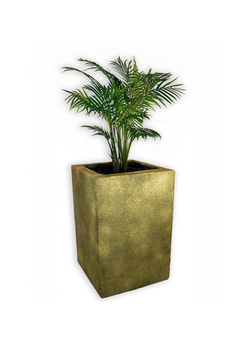 Złota donica kwadratowa wysoka Modern – Gold 4 z rośliną