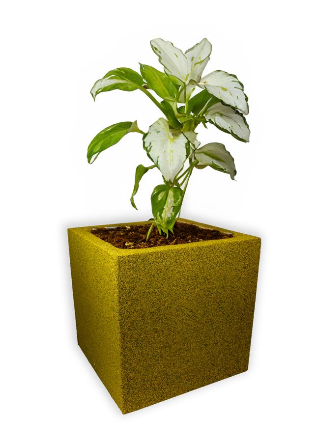Żółta donica kwadratowa duża Modern – Yellow D2 z rośliną